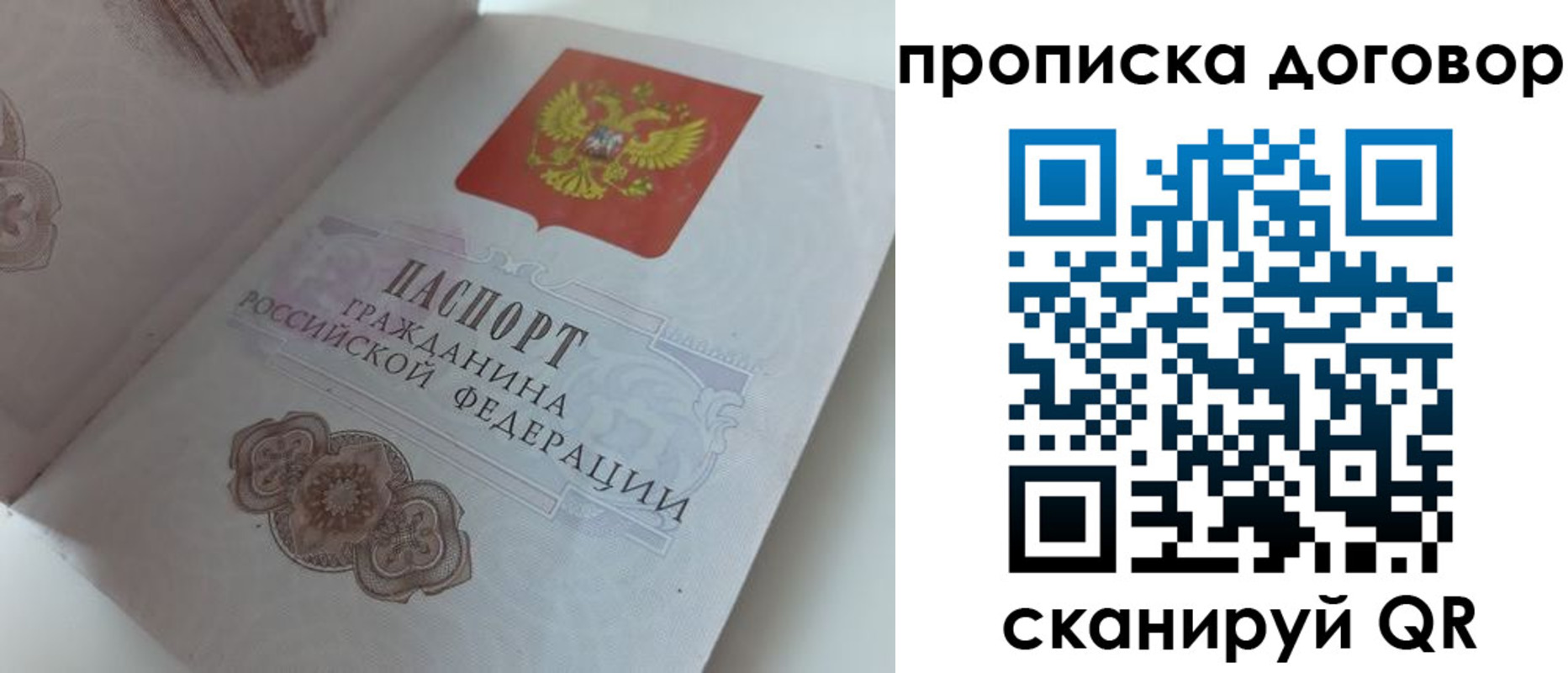 прописка поиск в Чудово